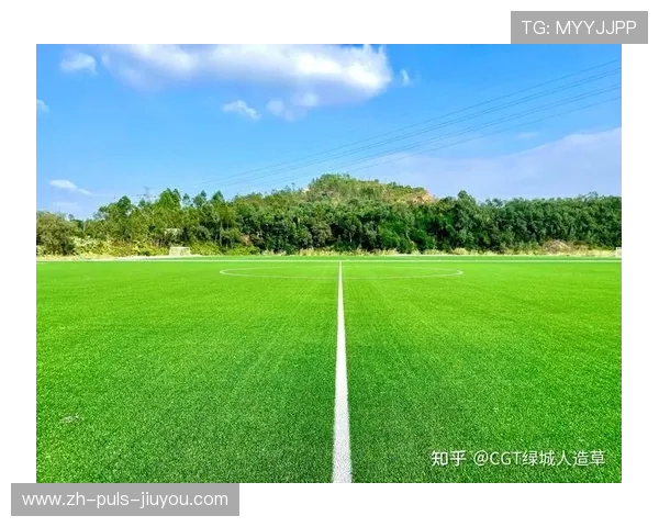 比赛在人工草场举行,速度与策略并重,国际比赛可以使用人工草坪吗 比赛在人工草场举行,速度与策略并重,国际比赛可以使用人工草坪吗